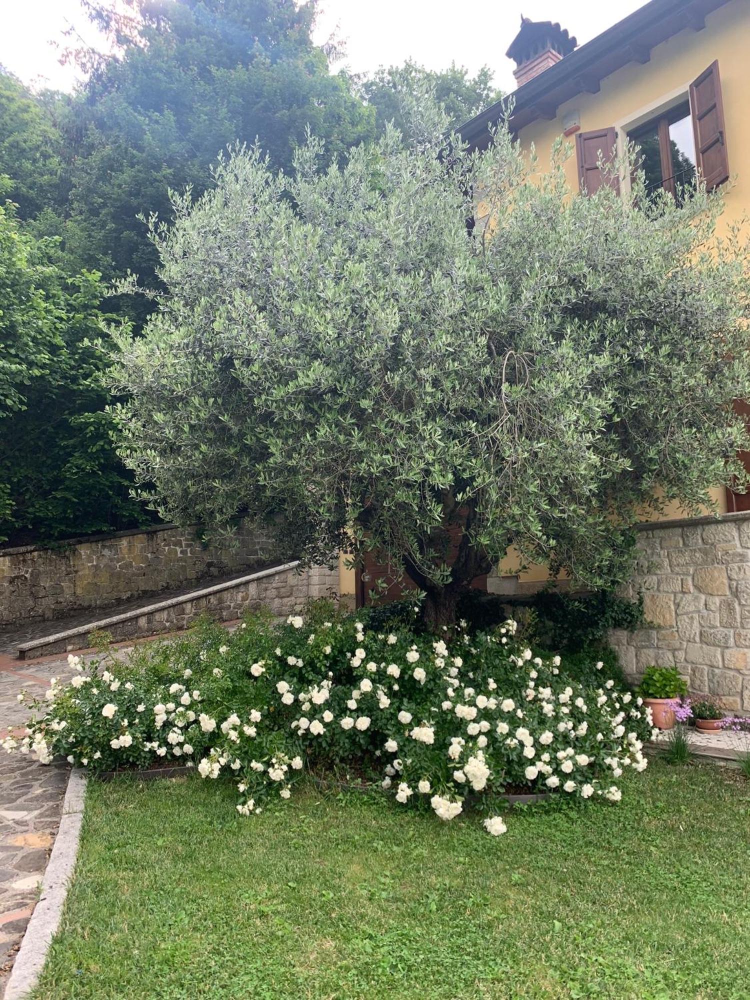 Borgo La Morra Villa Pavullo nel Frignano Kültér fotó